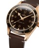 12A Omega Seamaster 300 Co-Axial Master Chronometer 41mm Bronze Gold