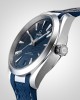 12A Omega Seamaster Aquaterra 41 Mens Watch