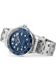 12A Omega Seamaster Diver 300 Co-Axial Mens Watch