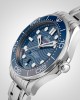 12A Omega Seamaster Diver 300 Co-Axial Mens Watch