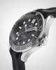 Omega Seamaster Diver 300 Co-Axial Mens Watch