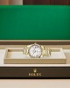 Rolex DAY-DATE 40-（Oyster, 40 mm, yellow gold）