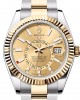 Rolex SKY-DWELLER-(Oyster, 42 mm, Oystersteel and yellow gold)