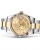 Rolex SKY-DWELLER-(Oyster, 42 mm, Oystersteel and yellow gold)