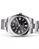 Rolex OYSTER PERPETUAL 41-(Oyster, 41 mm, Oystersteel)